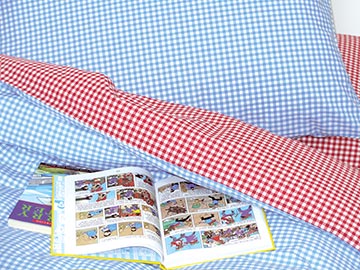 Gingham Blue/Red